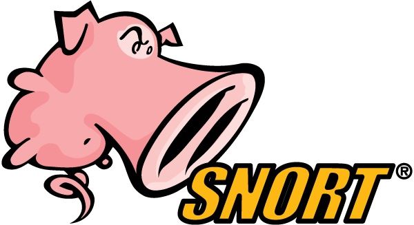 Snort IDS